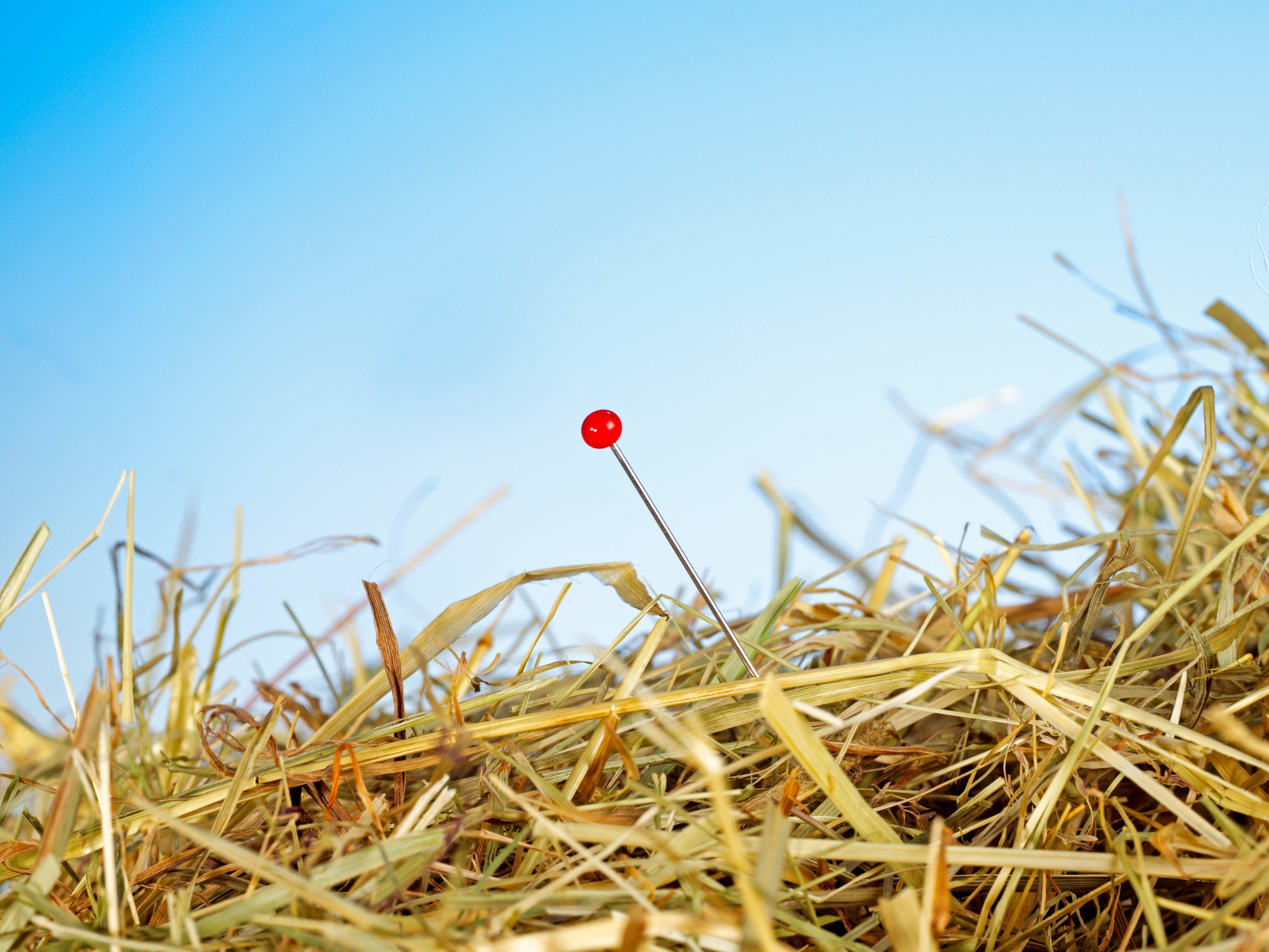 AdobeStock_25999722
