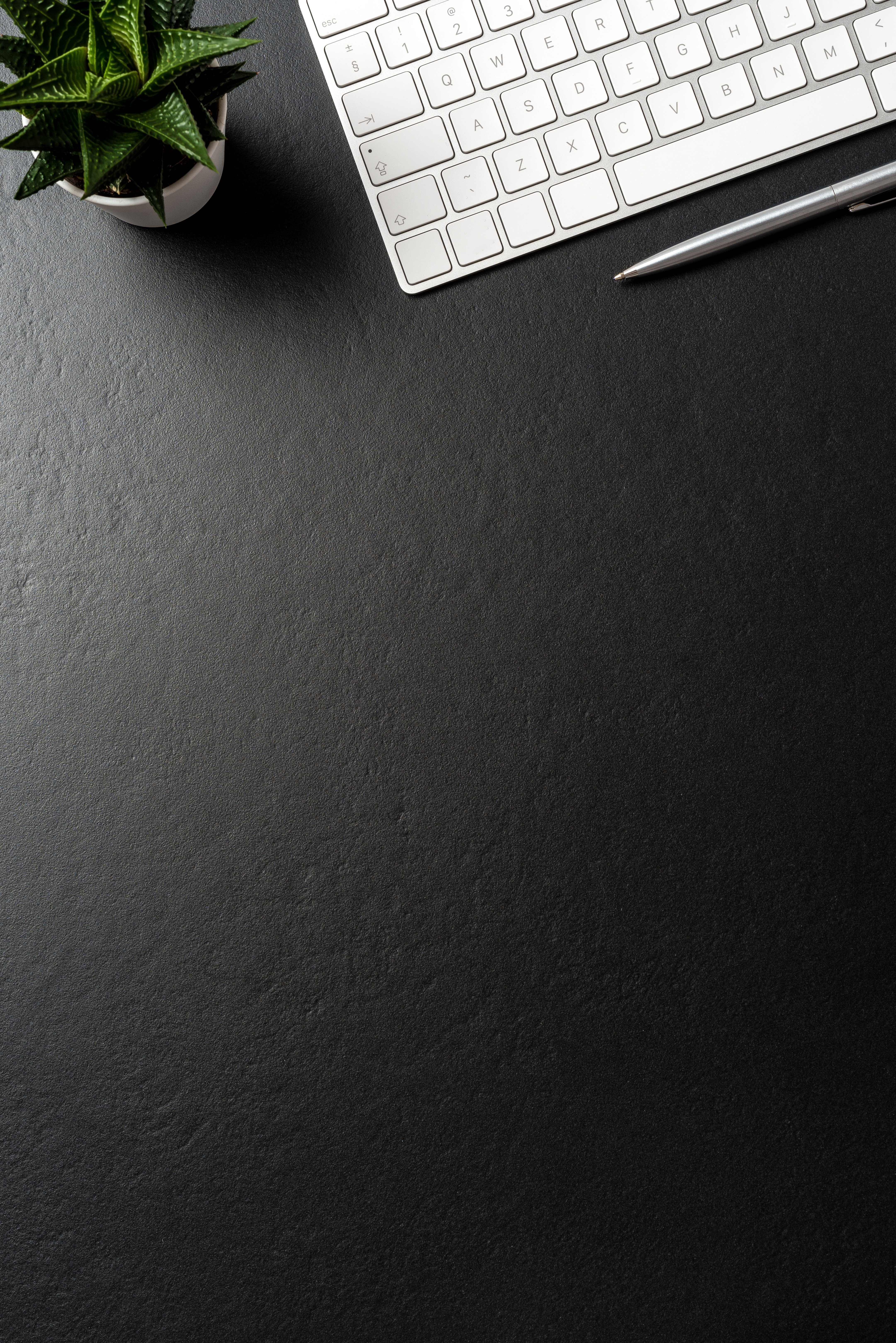 Wealth Management mit finfee.finance pro