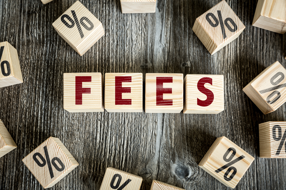 Wooden Blocks with the text Fees-4